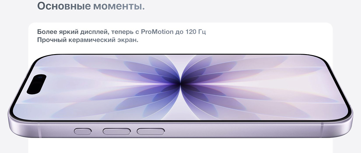 Apple iPhone 17 256 Gb Черный eSIM